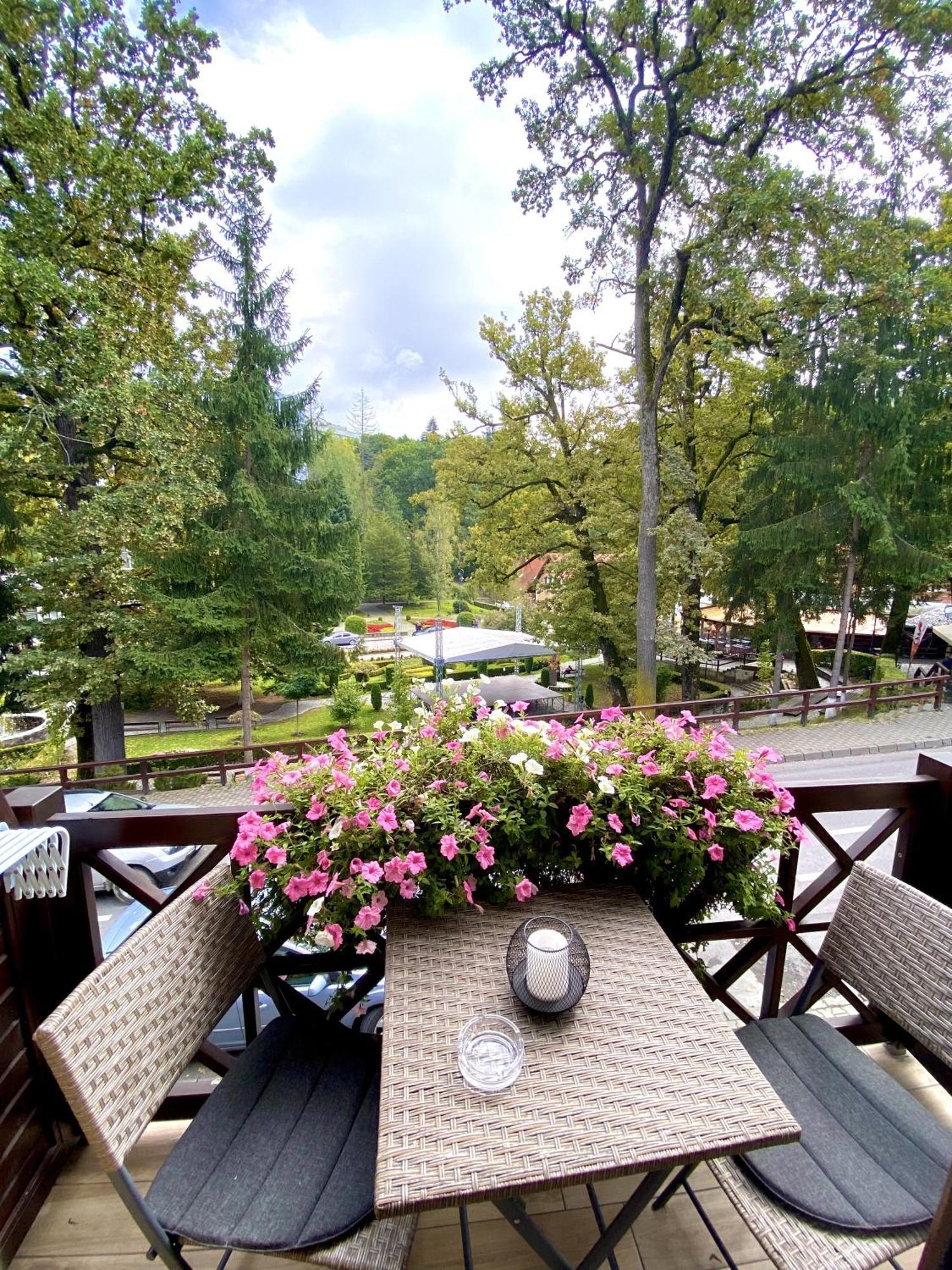 Amethyst Bed & Breakfast Sovata Luaran gambar